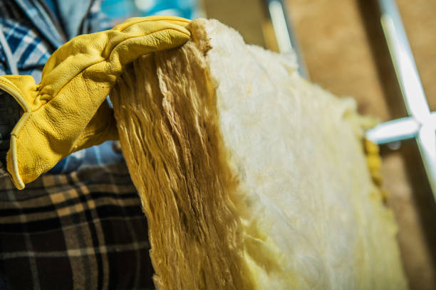 Best Specialized Insulation Services in North Newton, KS